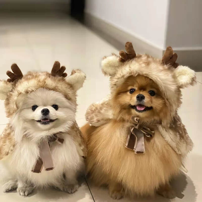Abbigliamento per animali domestici Peluche Mantello di alce Costumi per cani e gatti Regali di lusso per cani