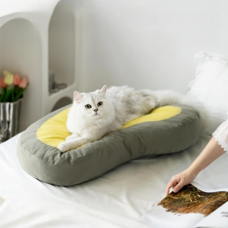 Tappetino per dormire extra spesso per animali domestici, orologio, letto per cani e gatti