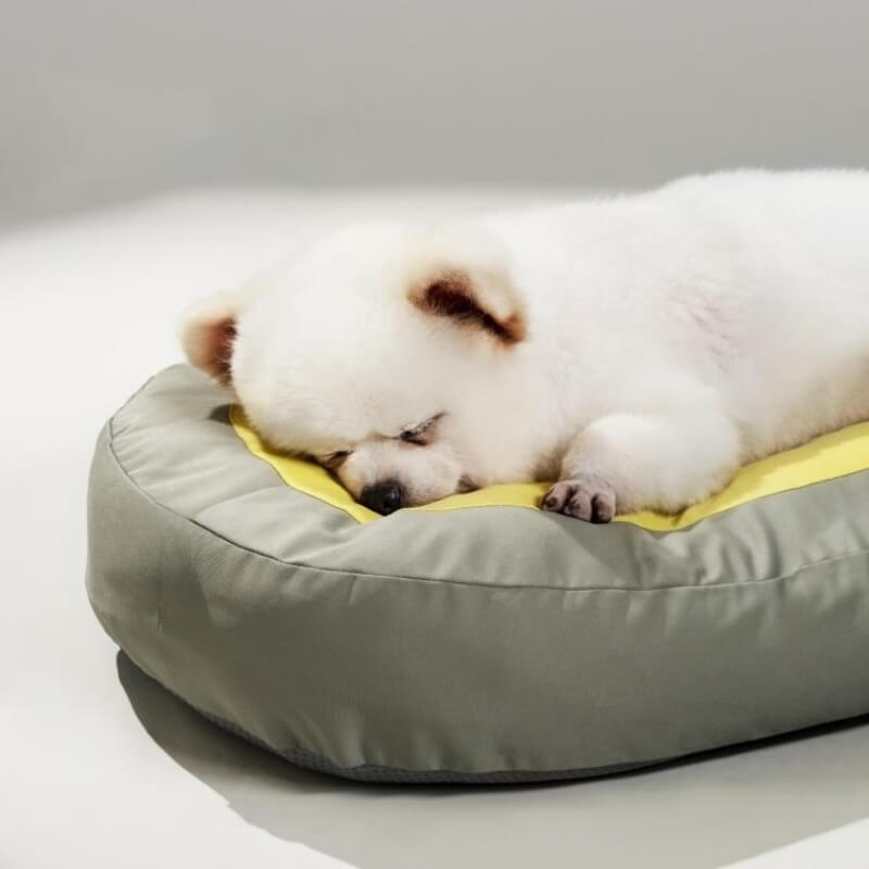 Extra dicke Schlafmatte für Haustiere, Uhr, Hunde- und Katzenbett