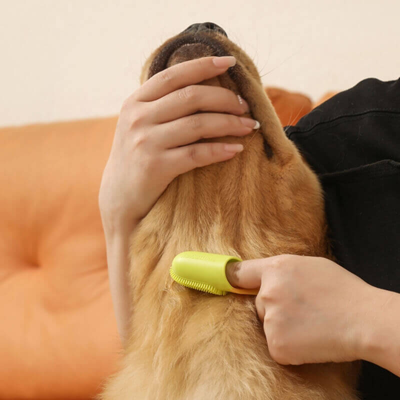 Spazzolino da denti per animali domestici per la pulizia dei denti