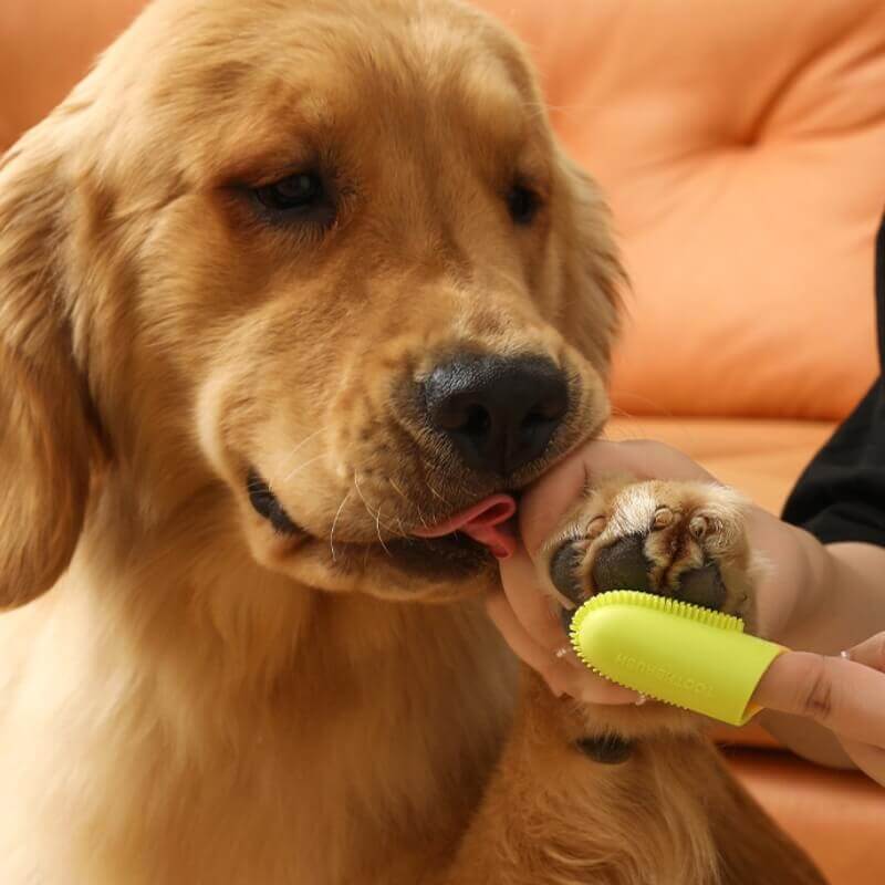 Spazzolino da denti per animali domestici per la pulizia dei denti