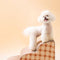 Scale per cani rimovibili a scala per animali domestici semplici