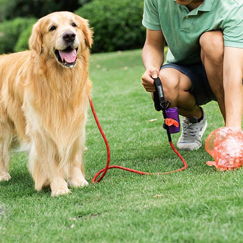 Borsa per passeggiate con cani in tessuto Oxford portatile, dispenser per sacchetti per rifiuti per cani