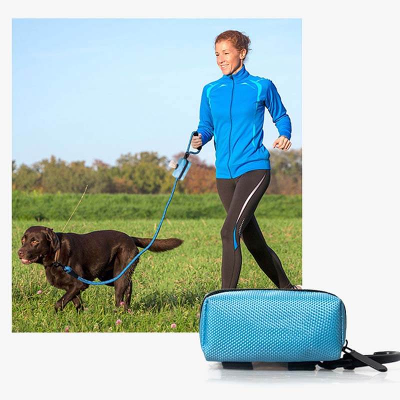 Borsa per passeggiate con cani in tessuto Oxford portatile, dispenser per sacchetti per rifiuti per cani