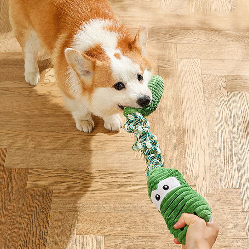 Giocattolo interattivo per cani a corda squeaky - Serie animali
