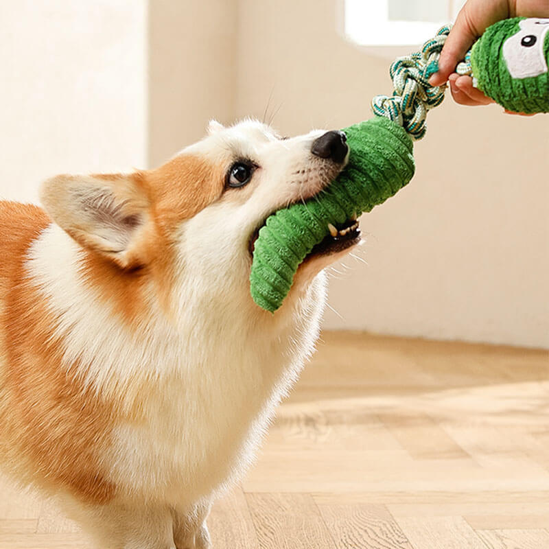 Giocattolo interattivo per cani a corda squeaky - Serie animali