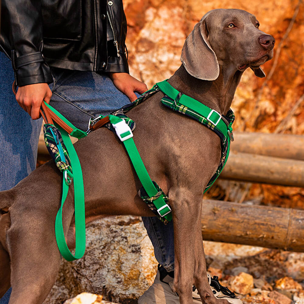 Set da passeggio con pettorina e guinzaglio sicuri anti-trazione per cani di grandi dimensioni con borsa da passeggio