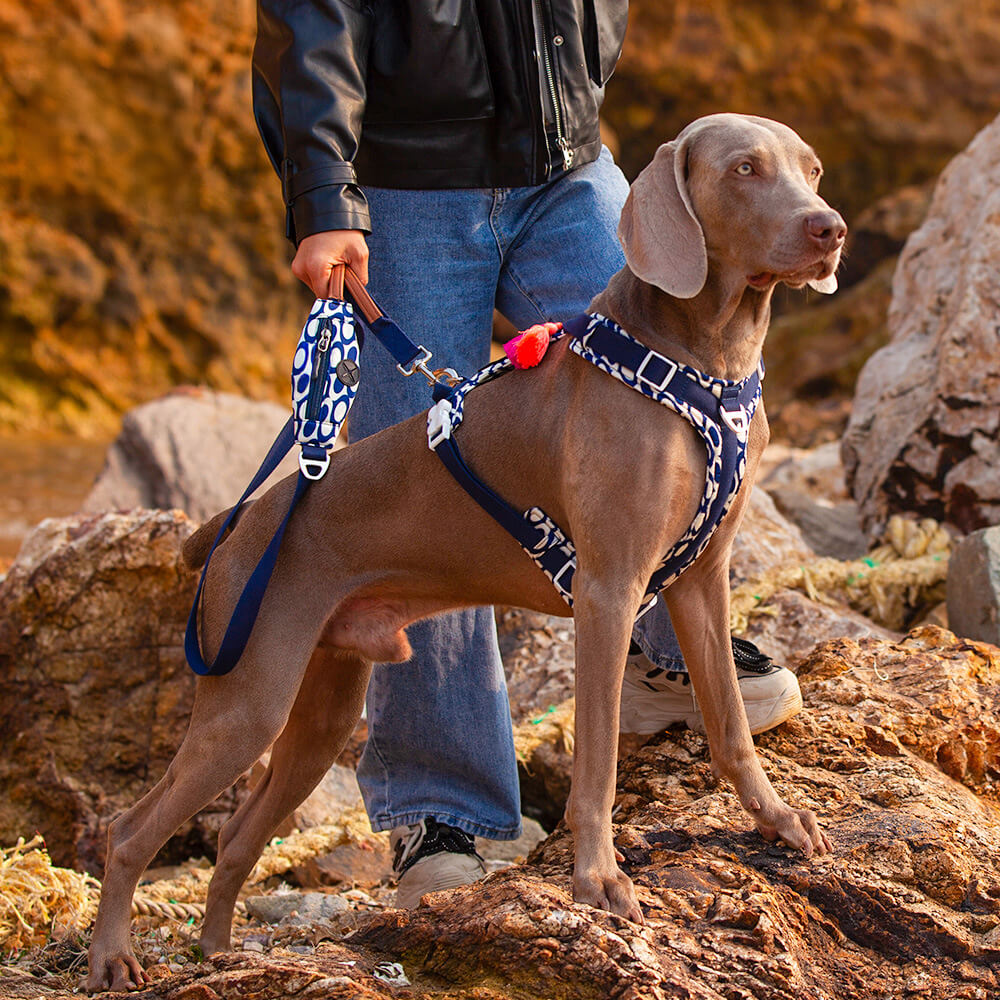 Set da passeggio con pettorina e guinzaglio sicuri anti-trazione per cani di grandi dimensioni con borsa da passeggio