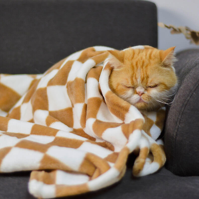 Elegante coperta per cani e gatti in flanella a quadretti