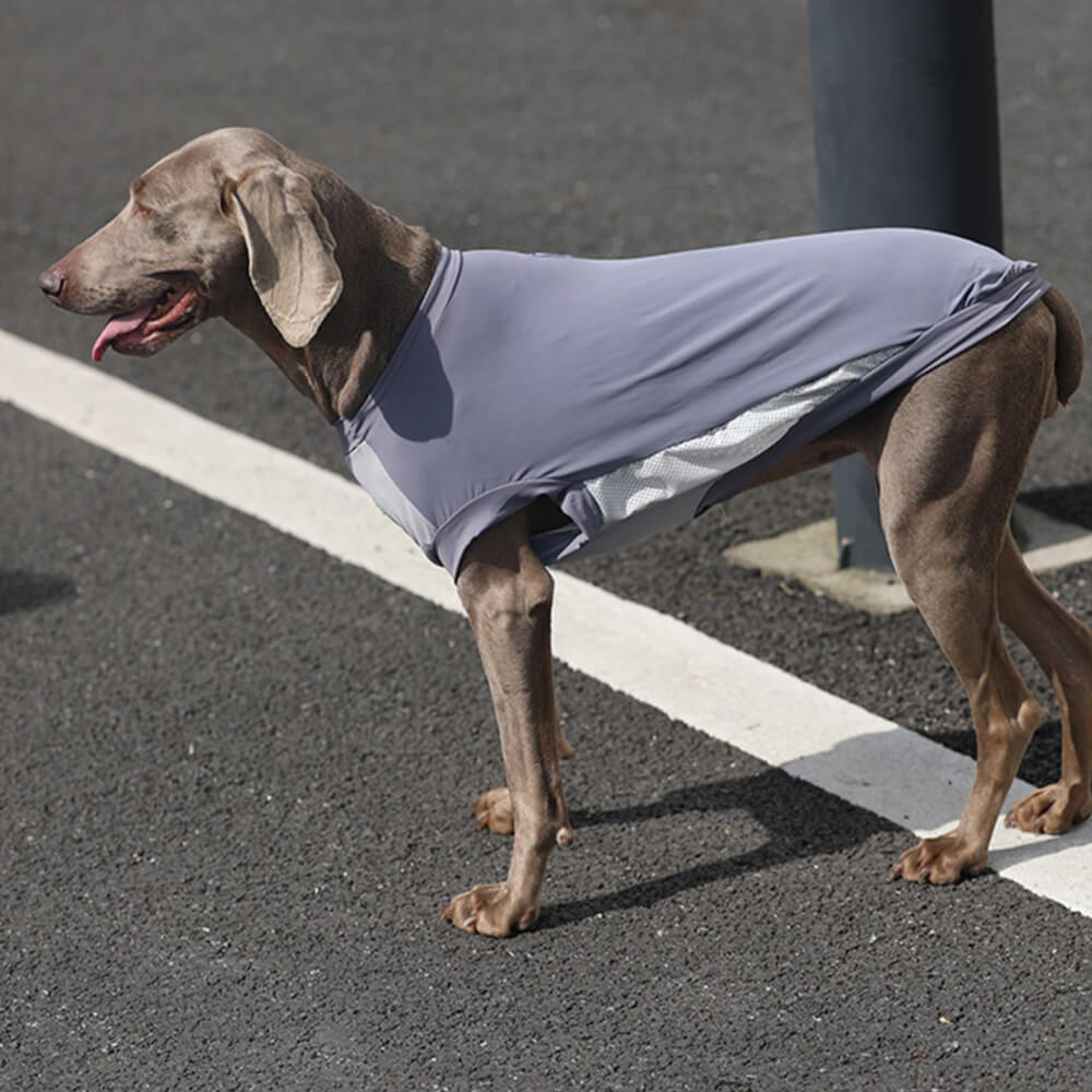 Elegante gilet per cani traspirante, leggero, protettivo dal sole, color block
