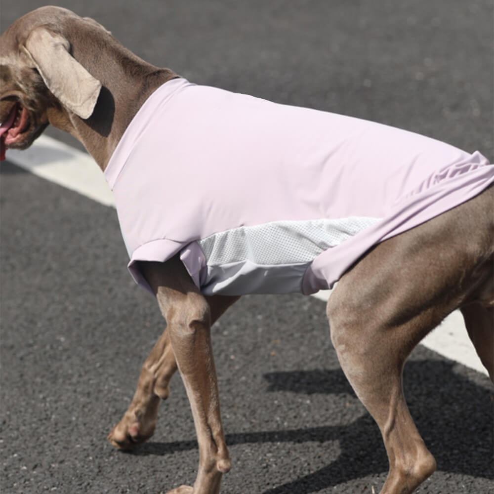 Elegante gilet per cani traspirante, leggero, protettivo dal sole, color block