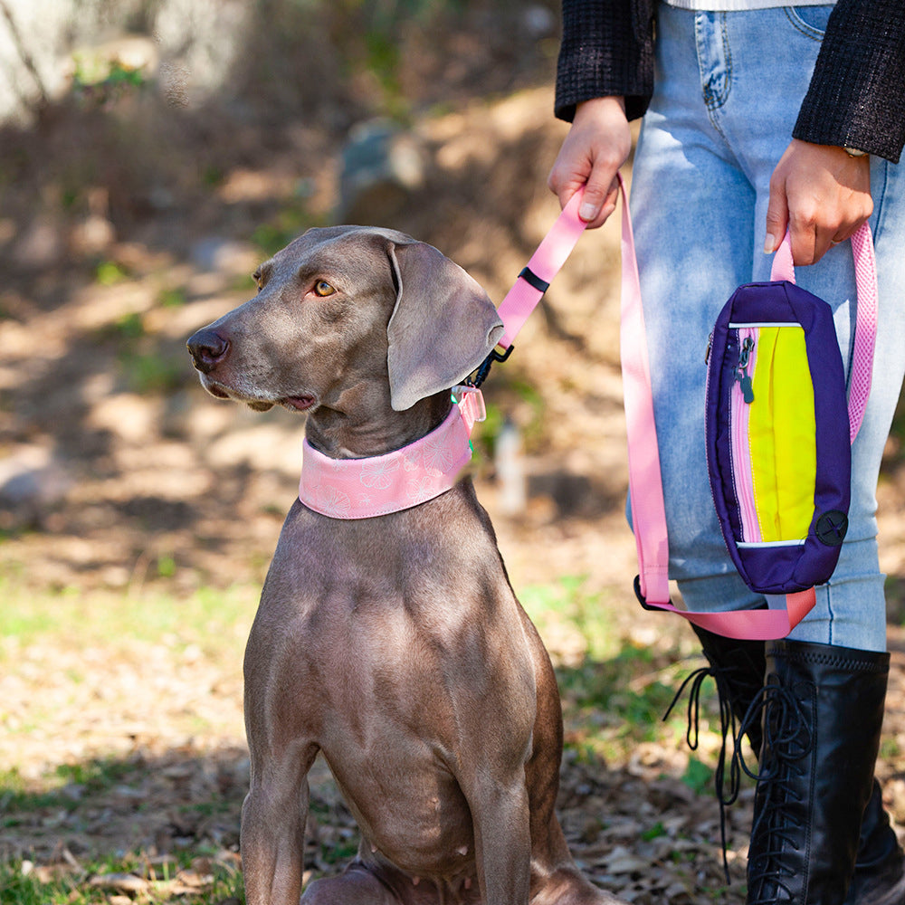 Collare elegante e confortevole per accessori per cani senza tiraggio