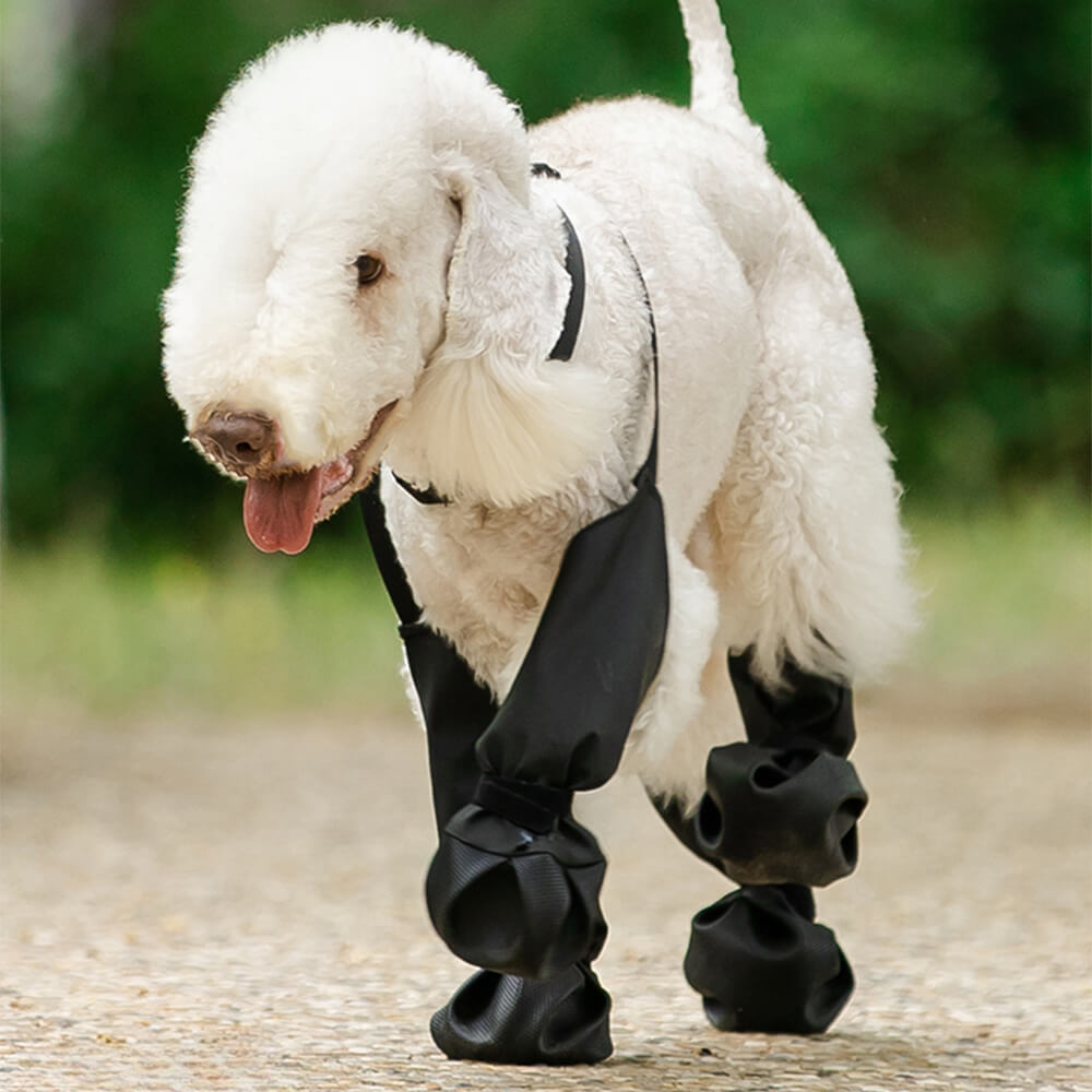 Leggings impermeabili per stivali da cane antiscivolo: portatili, durevoli e resistenti allo sporco
