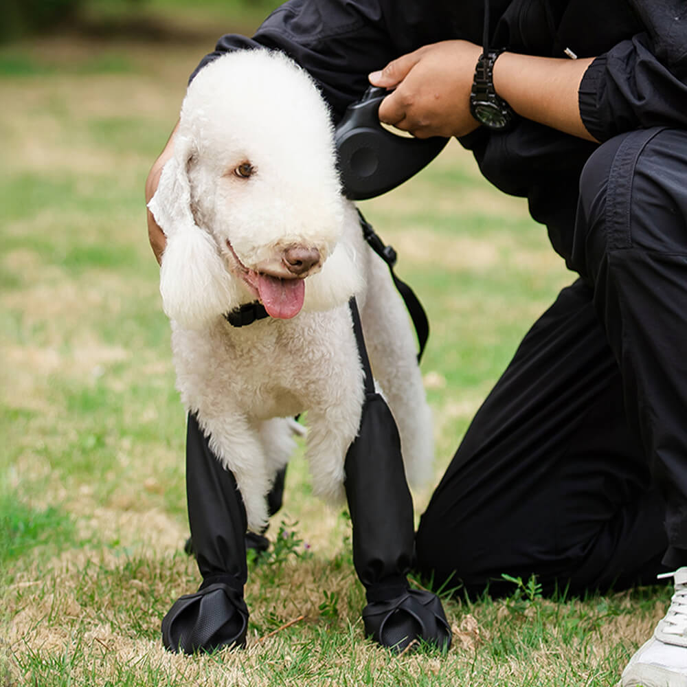 Wasserdichte, rutschfeste Stiefel-Leggings für Hunde – tragbar, langlebig und schmutzabweisend