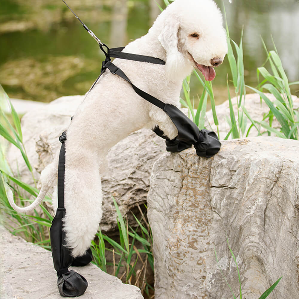 Leggings impermeabili per stivali da cane antiscivolo: portatili, durevoli e resistenti allo sporco