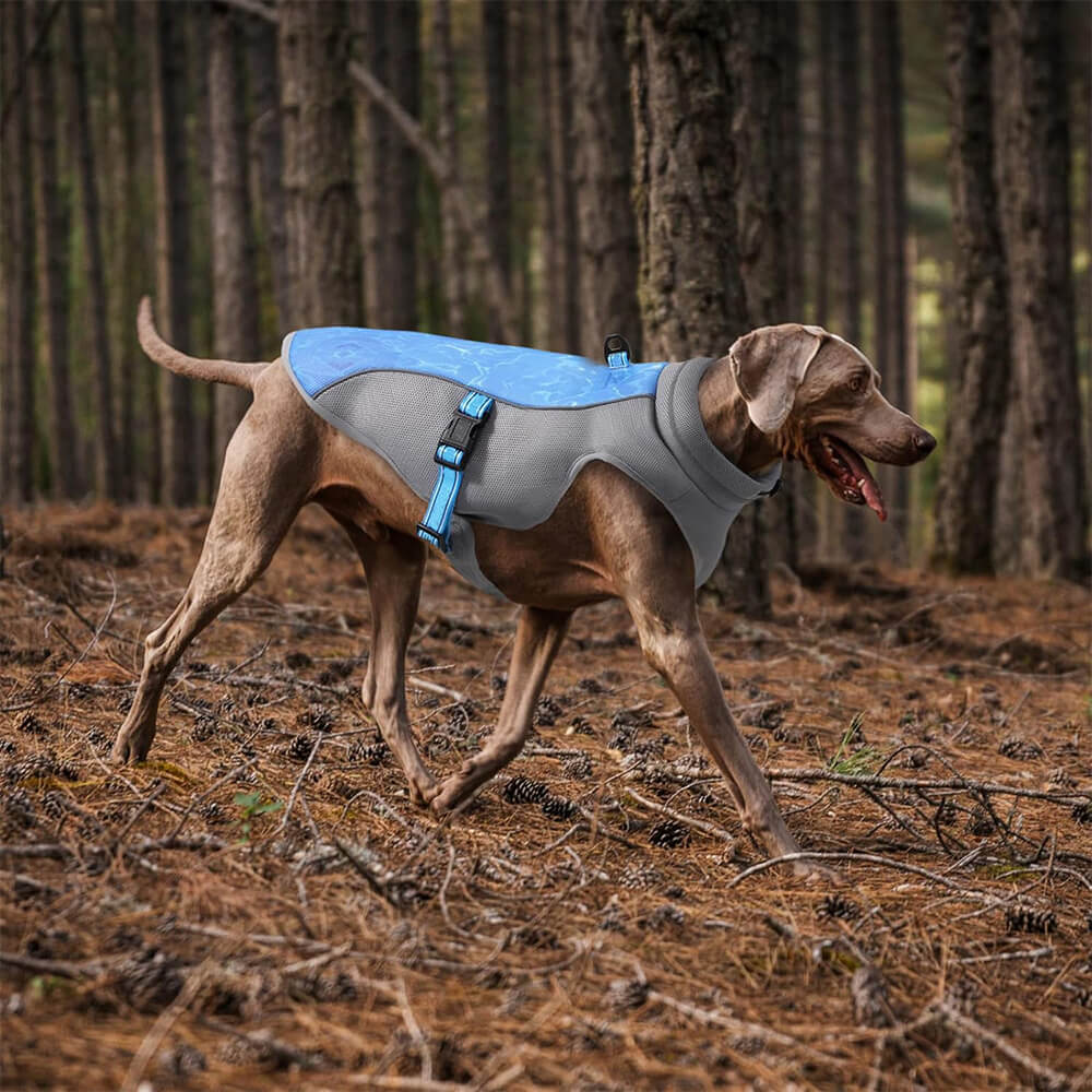 Ropa para perros, chaleco fresco transpirable ondulado ondulado a prueba de calor