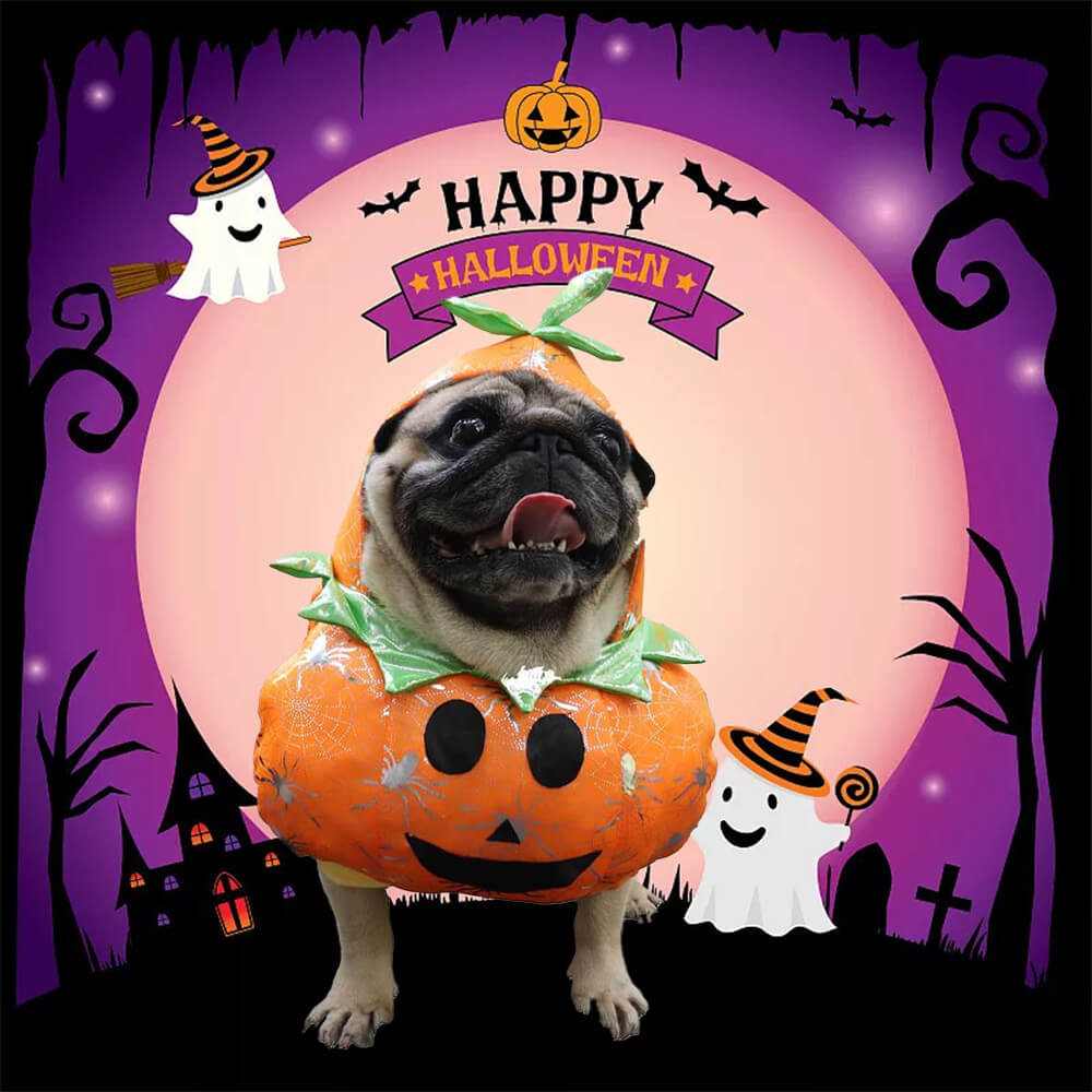 Costume da cane zucca: divertente e festoso per Halloween