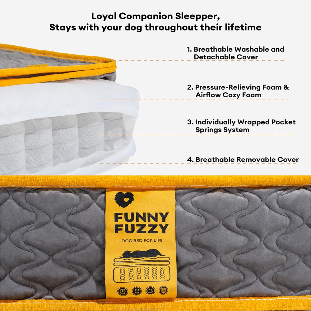 Copertura per letti per cani o set di cuscini impermeabile e anti-graffio CorduraTech - EverShield
