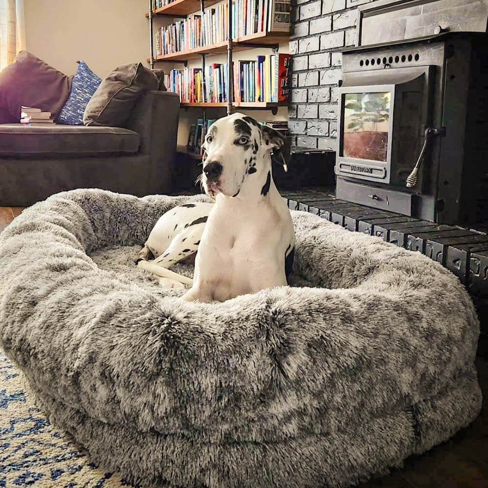 Letto ovale super grande di lusso per un sonno più profondo - letto per cani umani.