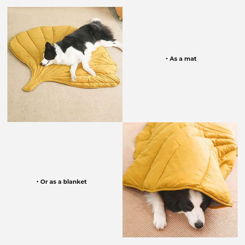 Coperture per mobili lavabili tutto l'anno, coperte per gatti.