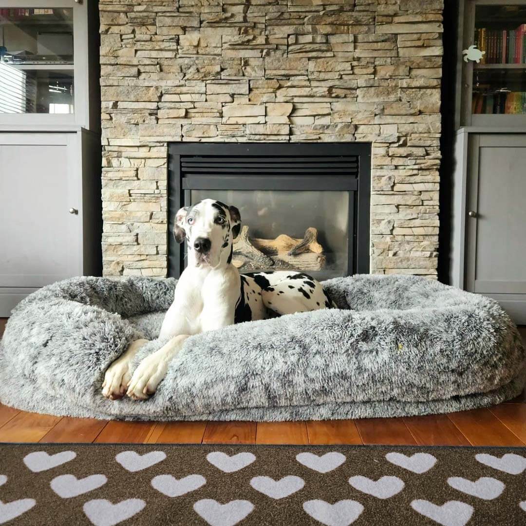 Letto ovale super grande di lusso per un sonno più profondo - letto per cani umani.