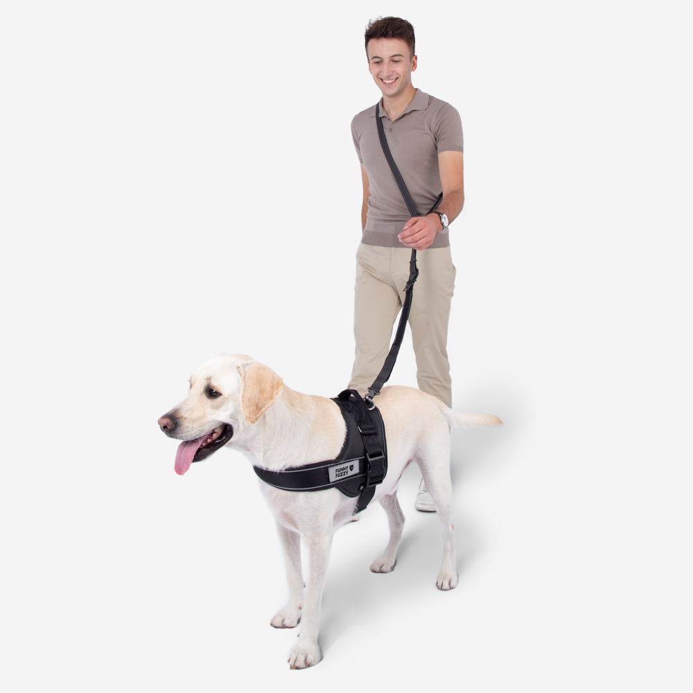 Guinzaglio per cani multifunzionale con cintura di sicurezza a mani libere