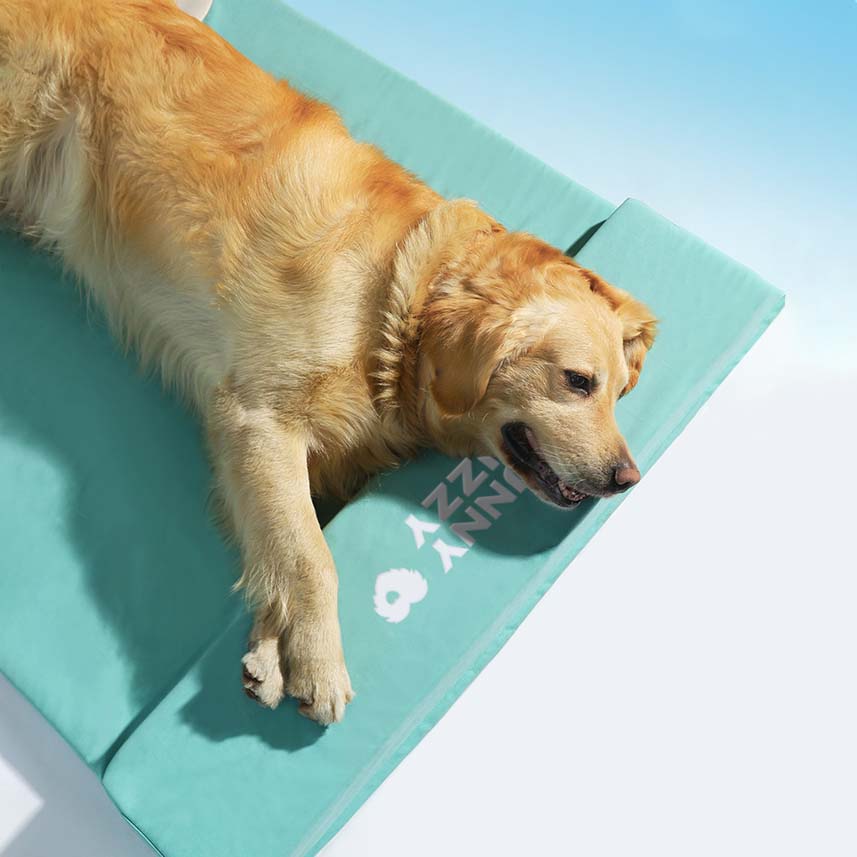 Cuccia ortopedica impermeabile per cani - Oceano