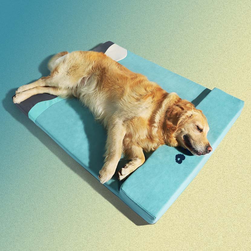 Cuccia ortopedica impermeabile per cani - Oceano