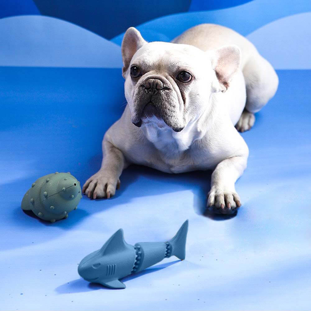 Set di giocattoli per cani con dispenser di dolcetti - Oceano