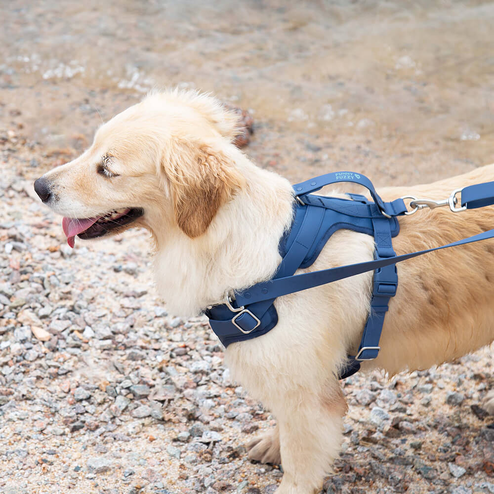 Pettorina gommosa per cani