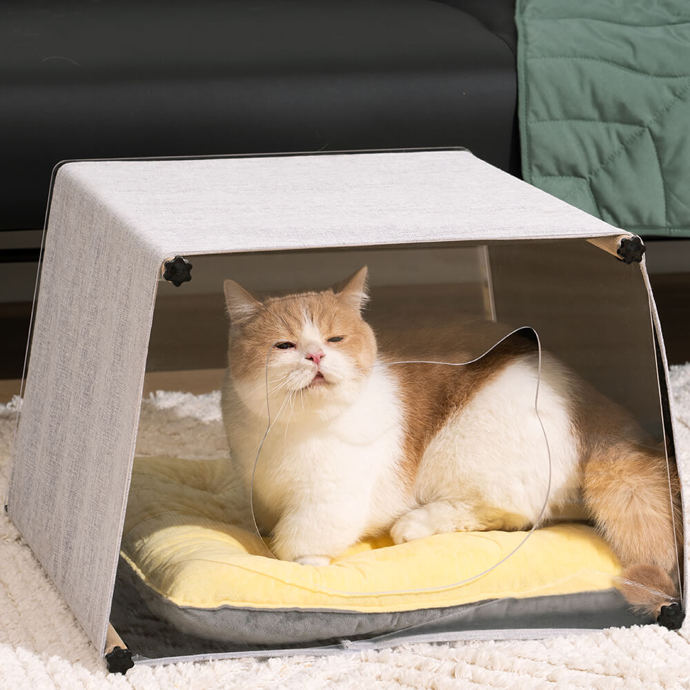 Cuccia per gatti con struttura in legno massello semplice per interni in acrilico