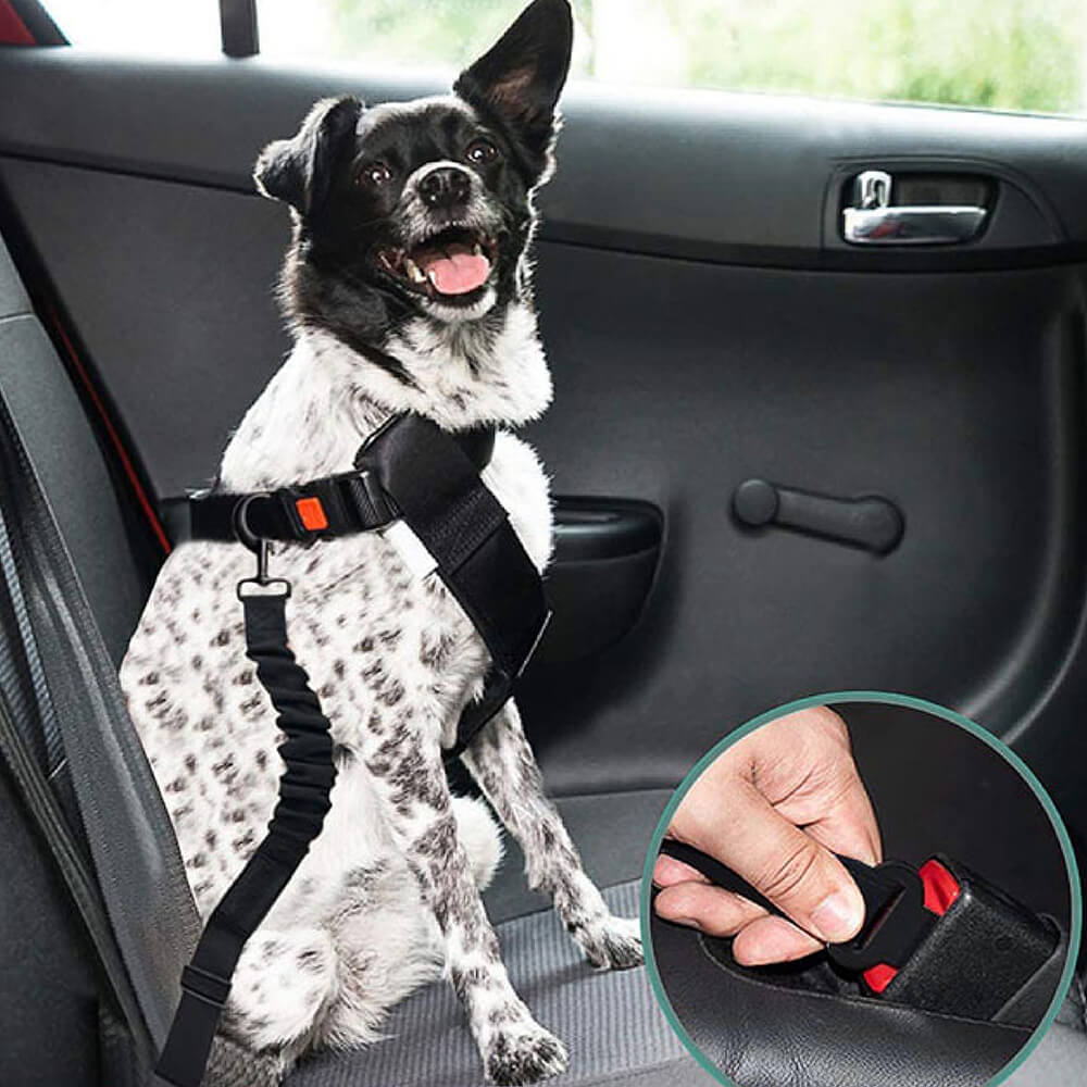 Cintura di sicurezza per auto con accessori per cani freddi regolabili
