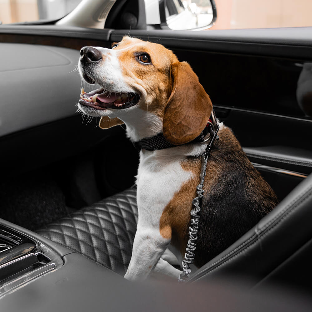 Buffer verstellbarer Cool Dog Zubehör Auto-Sicherheitsgurt