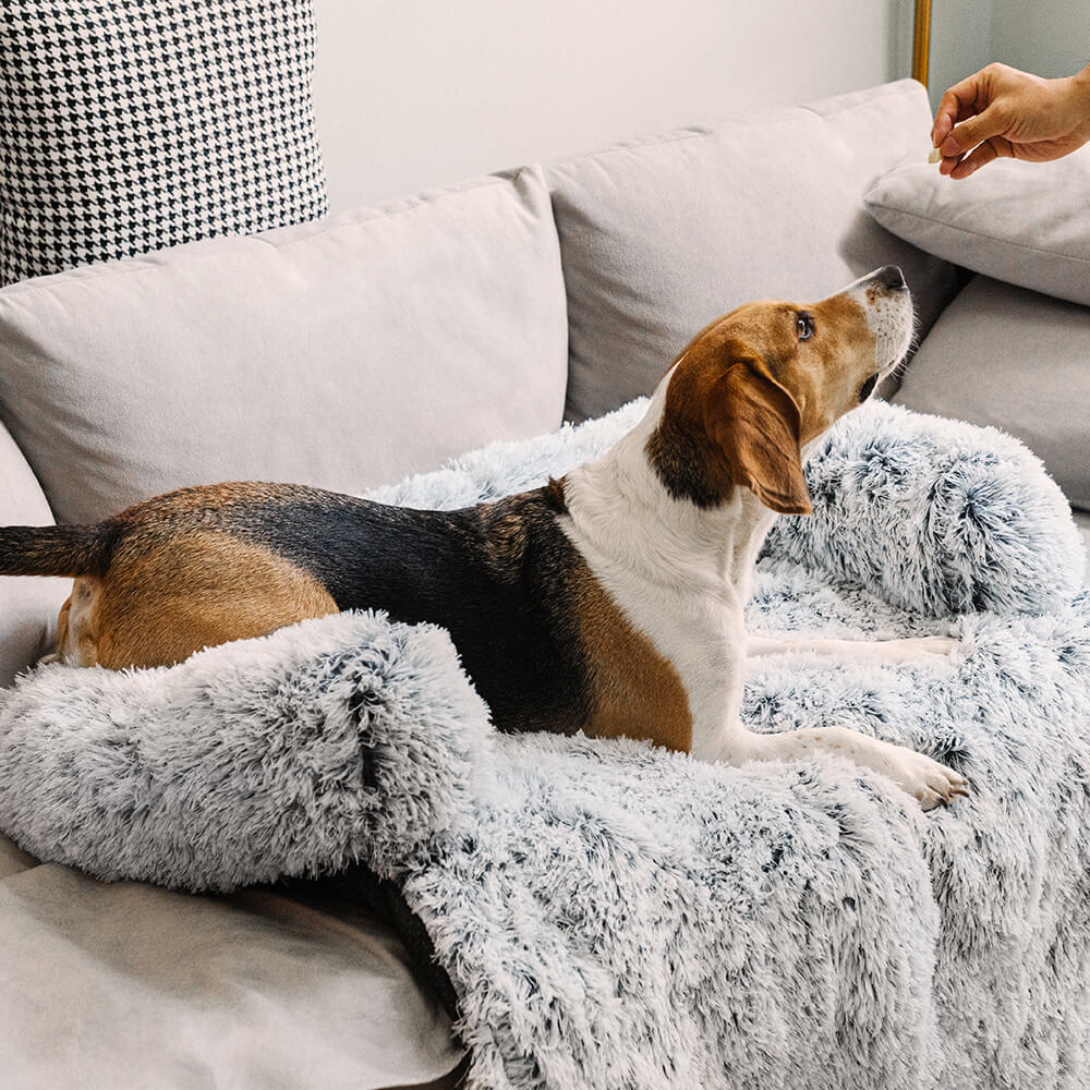 Lit pour chien protecteur de meubles apaisant - Dossier pelucheux