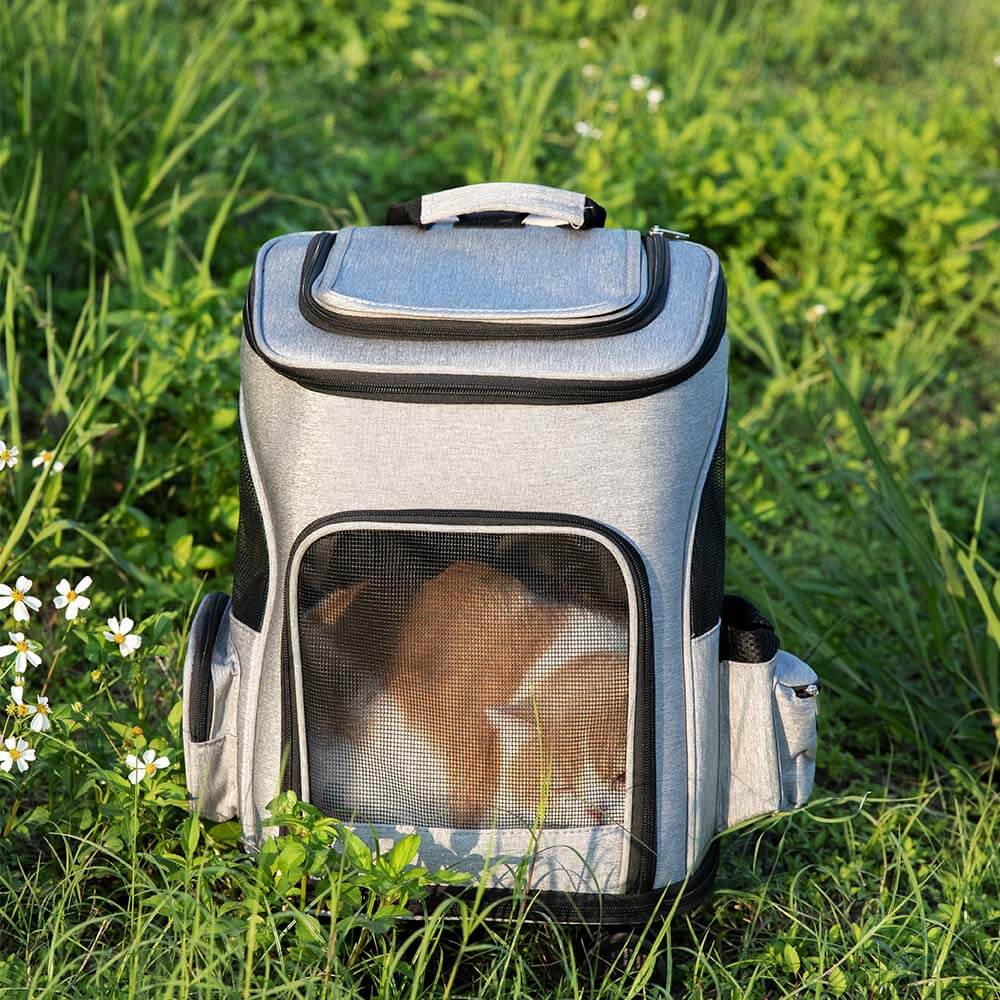 Carrello pieghevole portatile Ruote universali Zaino da viaggio per animali domestici di grandi dimensioni