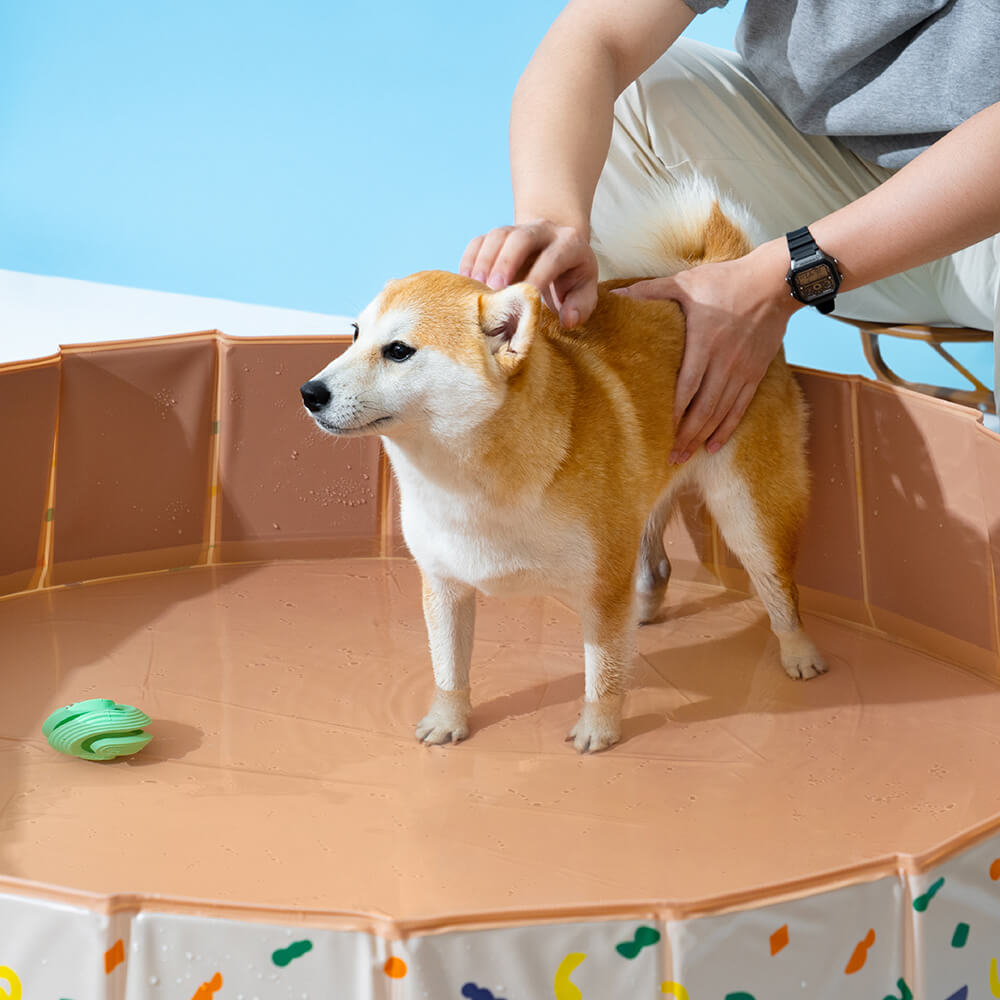 Zusammenklappbarer, tragbarer Hundepool für den Außenbereich