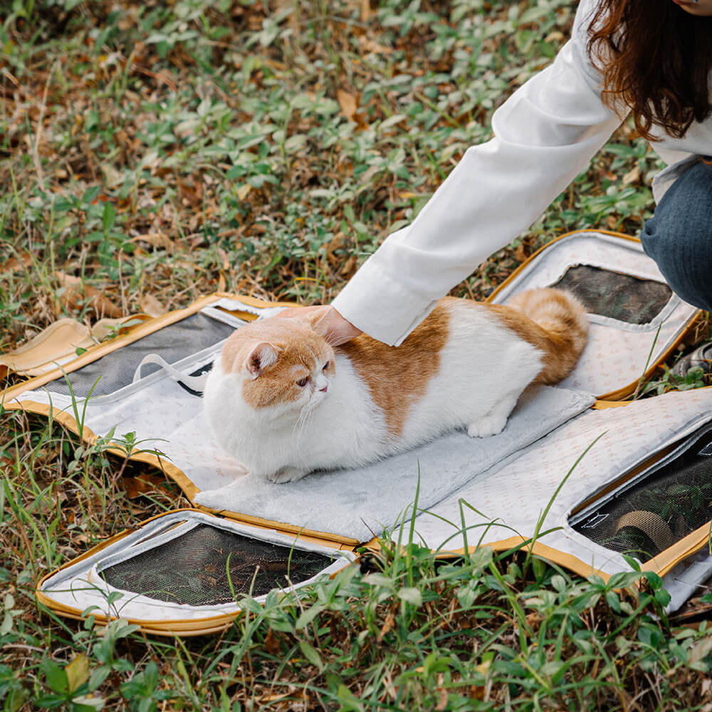 Sac de transport pour animaux de compagnie pliable et respirant