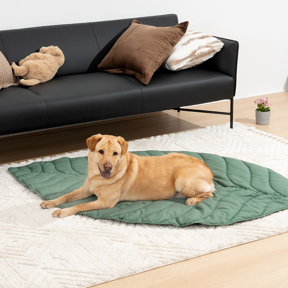 Coperta per cani con tappetino umano a forma di foglia super grande