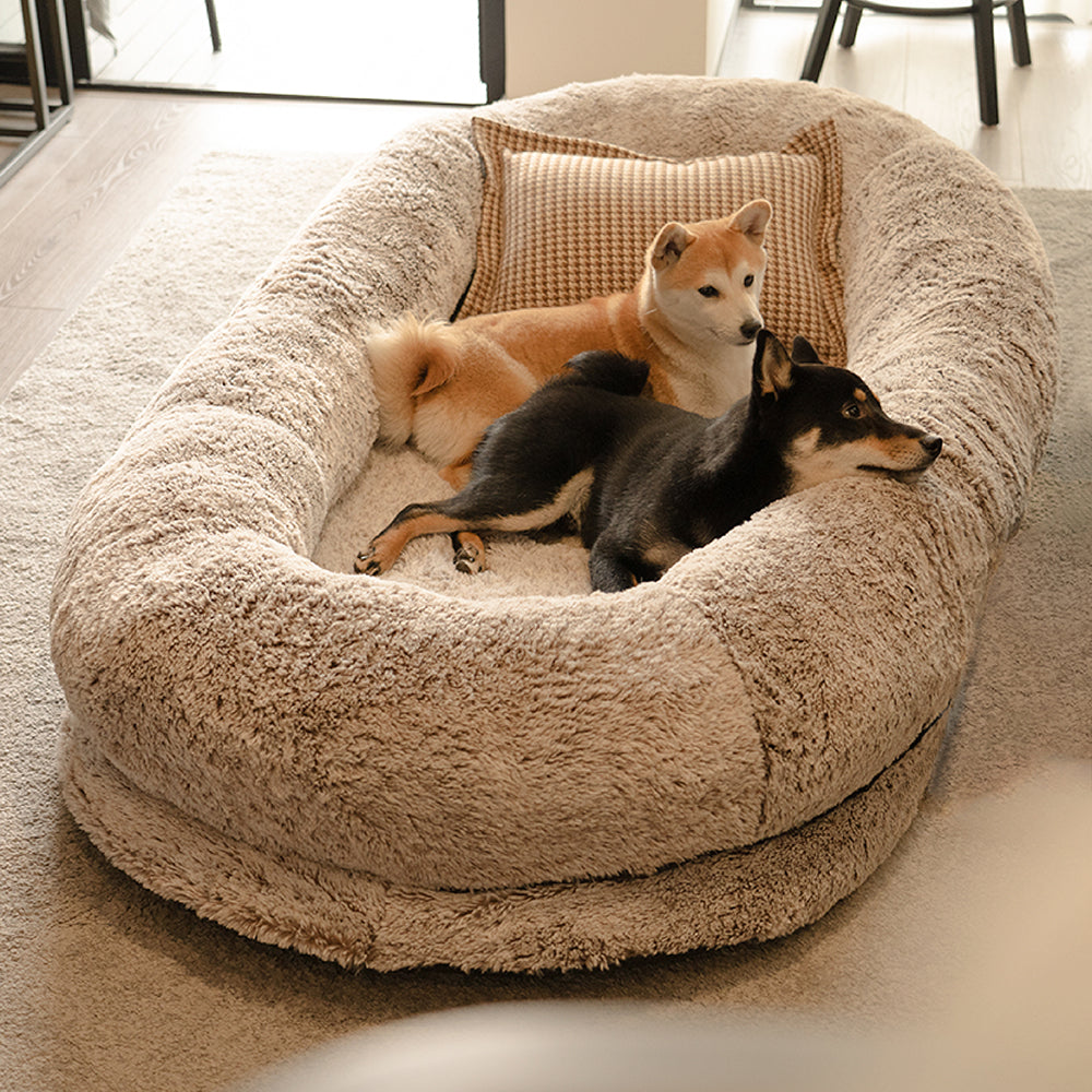 Luxuriöses, supergroßes, tieferes, ovales Bett für menschliche Hunde