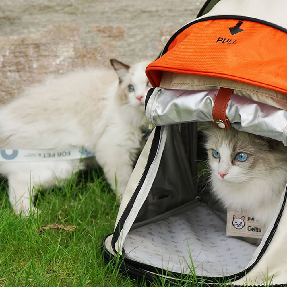 Zaino per gatti con tenda da campeggio Transformers Pro Travel