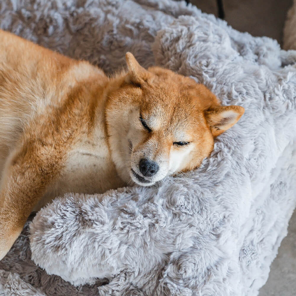 Letto per cani calmante a forma di nuvola di osso soffice e riscaldante