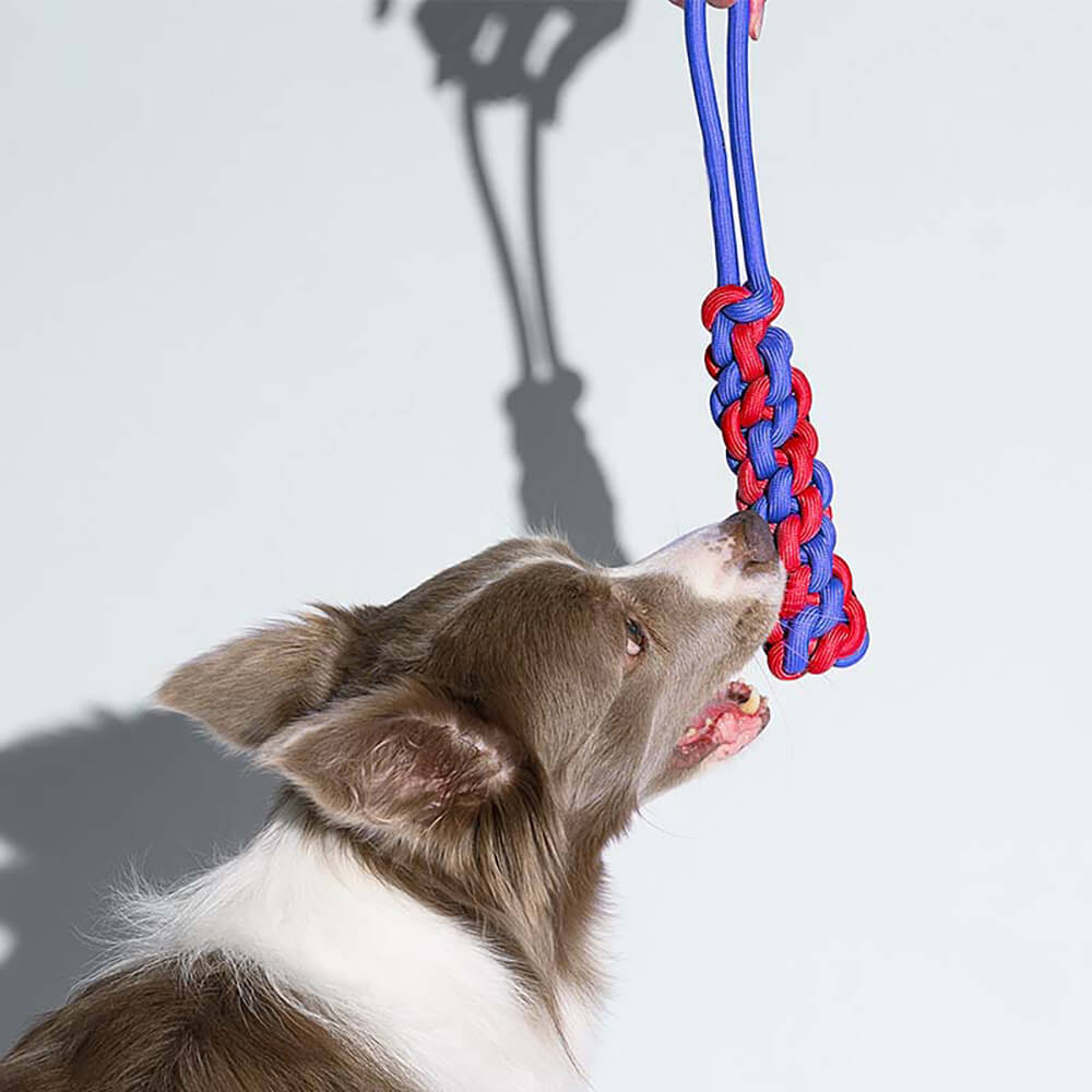 Set di giocattoli per cani Knots Rope - Color Clash