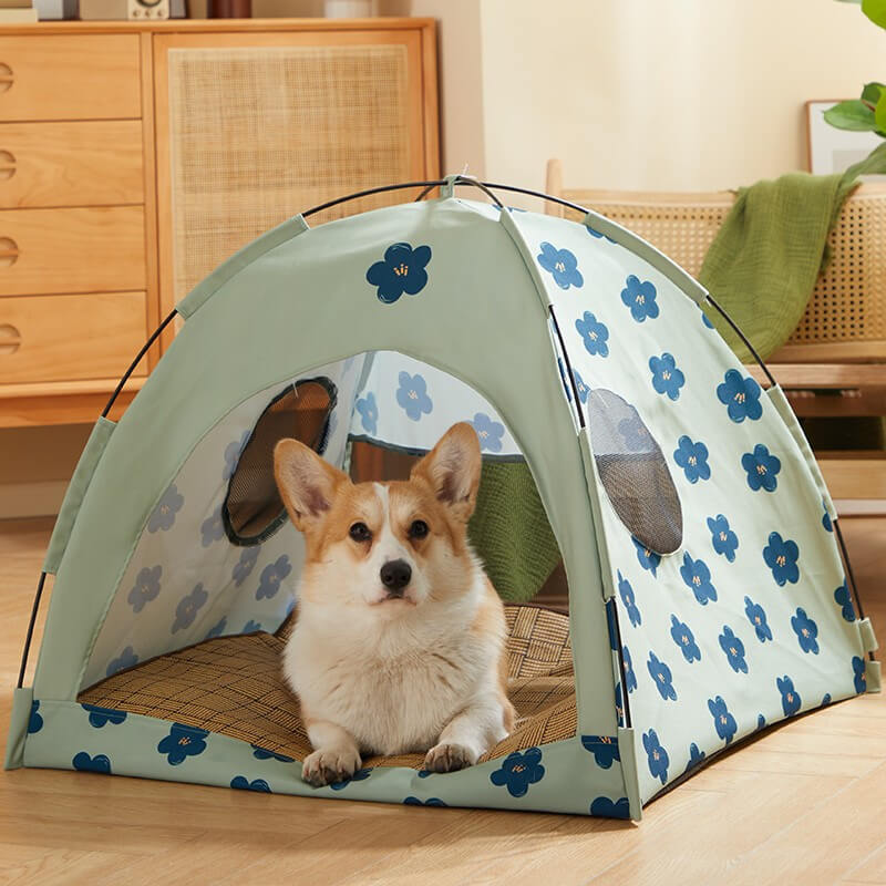 Letto per tenda per animali domestici con cupola per gatti con cupola a fiore blu