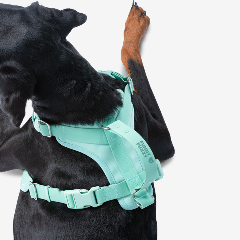 Gummy Cool Dog Accessories Walk Set