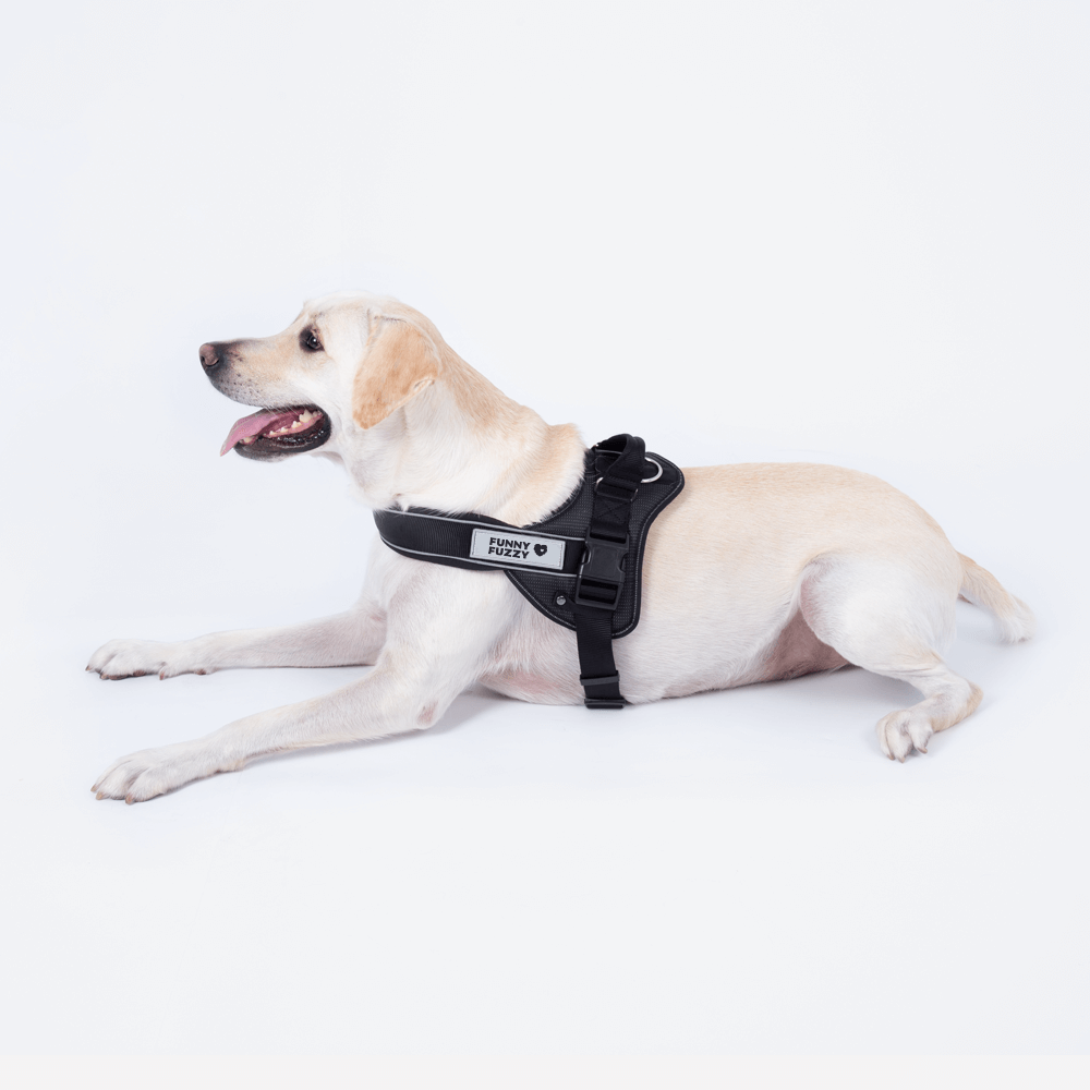 Pettorina per cani facile da indossare丨 Pettorina per cani di grandi dimensioni anti-trazione per baule con maniglia
